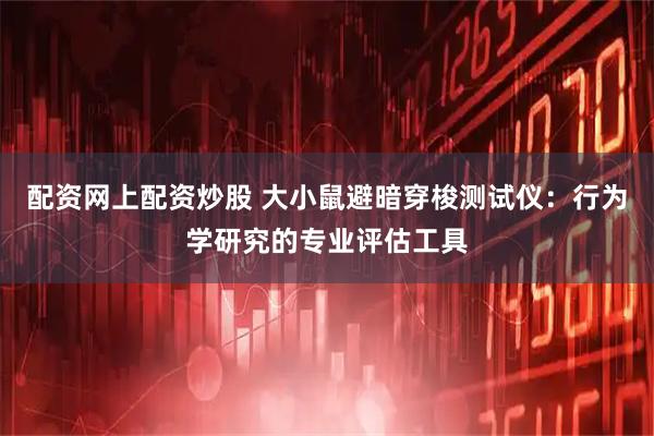 配资网上配资炒股 大小鼠避暗穿梭测试仪：行为学研究的专业评估工具