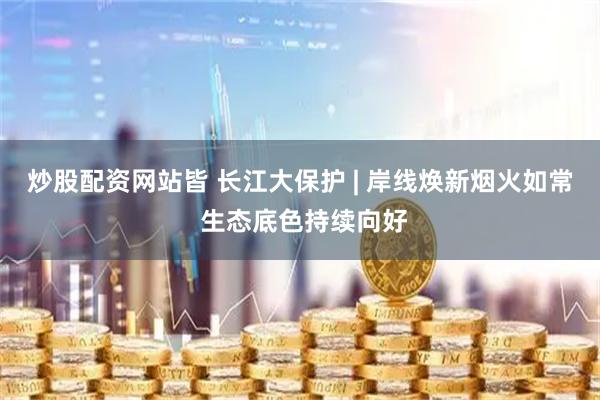 炒股配资网站皆 长江大保护 | 岸线焕新烟火如常 生态底色持续向好