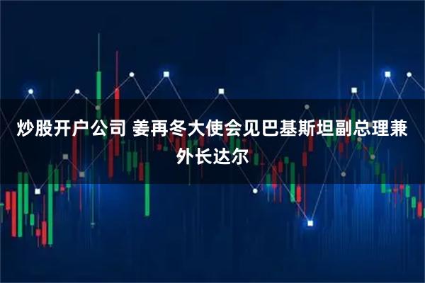 炒股开户公司 姜再冬大使会见巴基斯坦副总理兼外长达尔